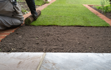 Worker Installing Sod in Bradenton Florida